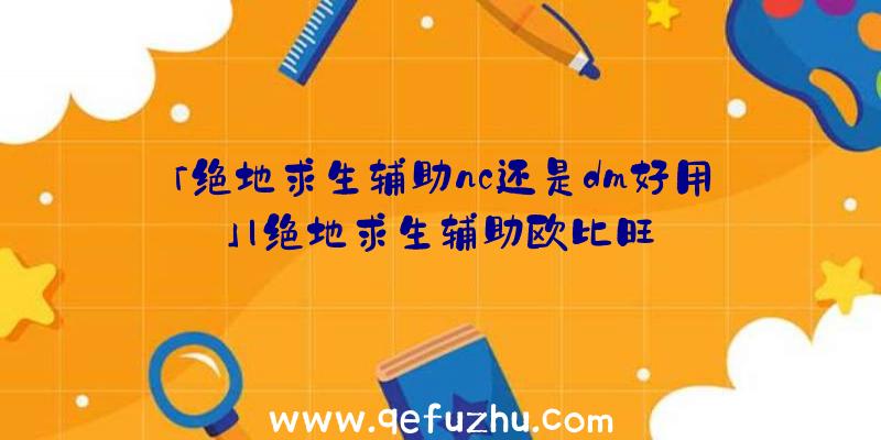 「绝地求生辅助nc还是dm好用」|绝地求生辅助欧比旺